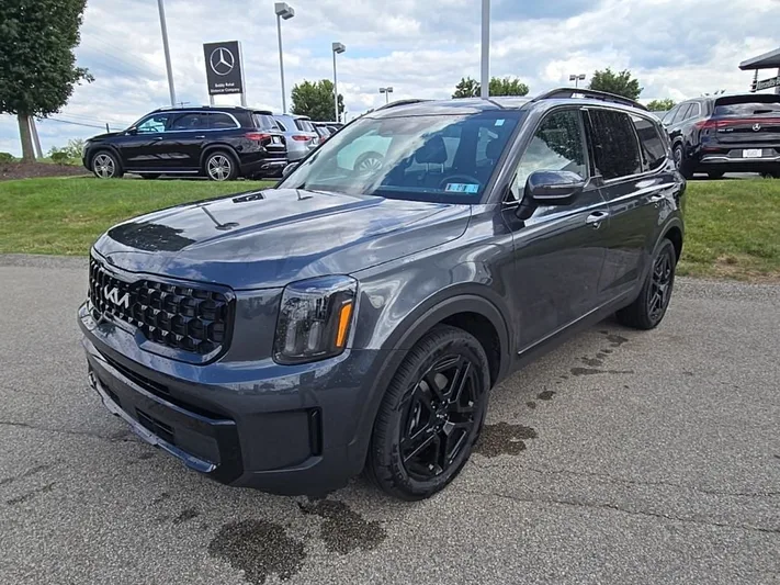 2024 Kia Telluride - view 34
