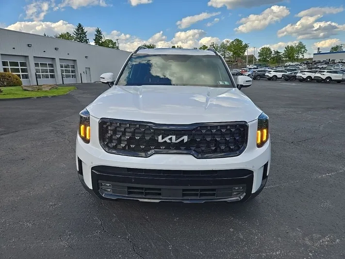2024 Kia Telluride - view 10