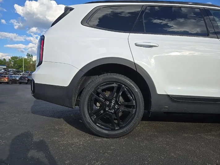 2024 Kia Telluride - view 11