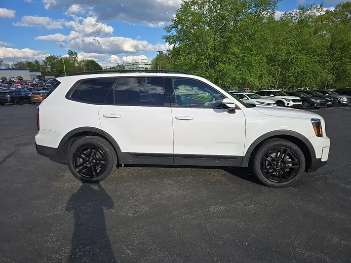 2024 Kia Telluride - view 2