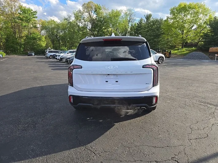 2024 Kia Telluride - view 4