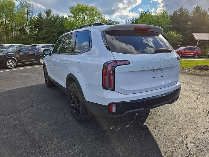 2024 Kia Telluride - view 6