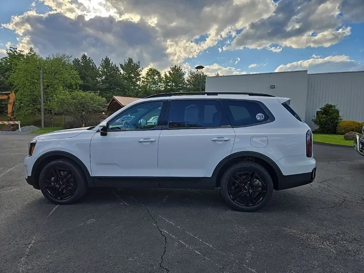 2024 Kia Telluride - view 8