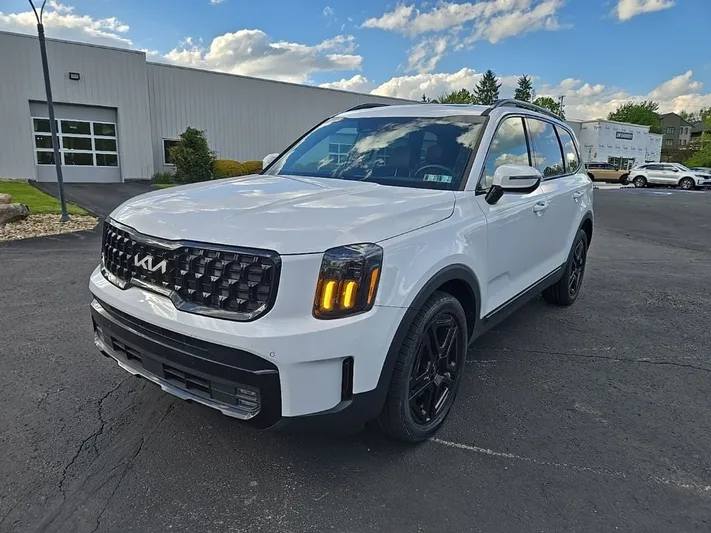 2024 Kia Telluride - view 9