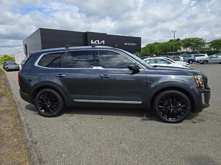 2022 Kia Telluride - view 2