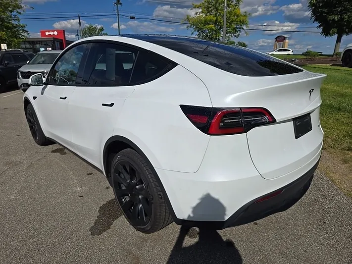 2023 Tesla Model - view 8