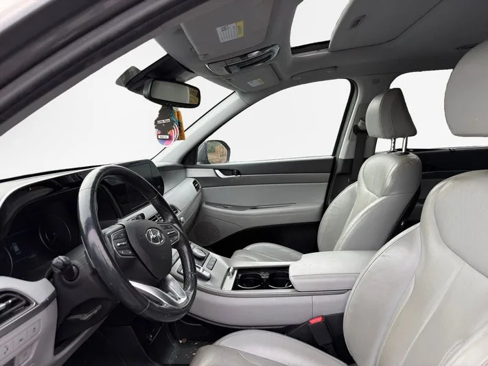 2020 Hyundai Palisade - view 12