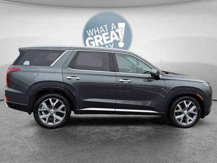 2020 Hyundai Palisade - view 2
