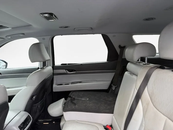 2020 Hyundai Palisade - view 24