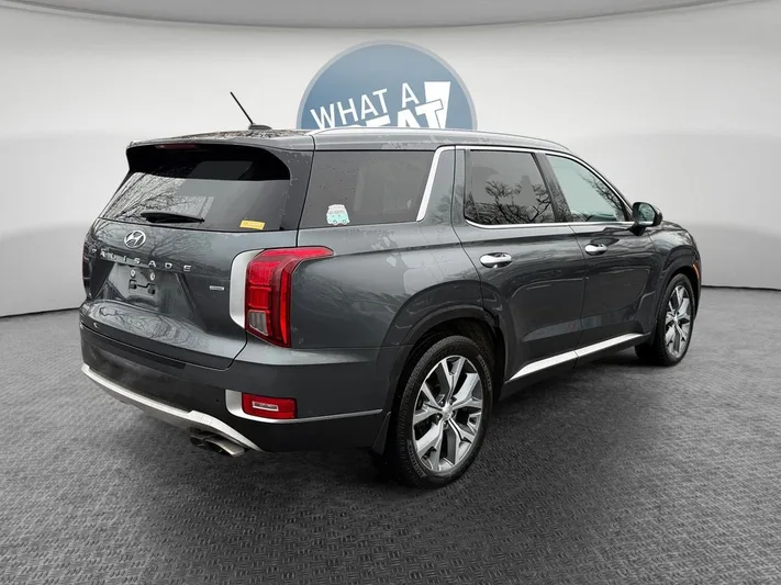 2020 Hyundai Palisade - view 3