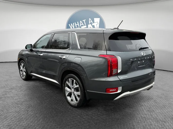 2020 Hyundai Palisade - view 6