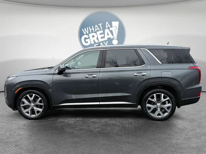 2020 Hyundai Palisade - view 7