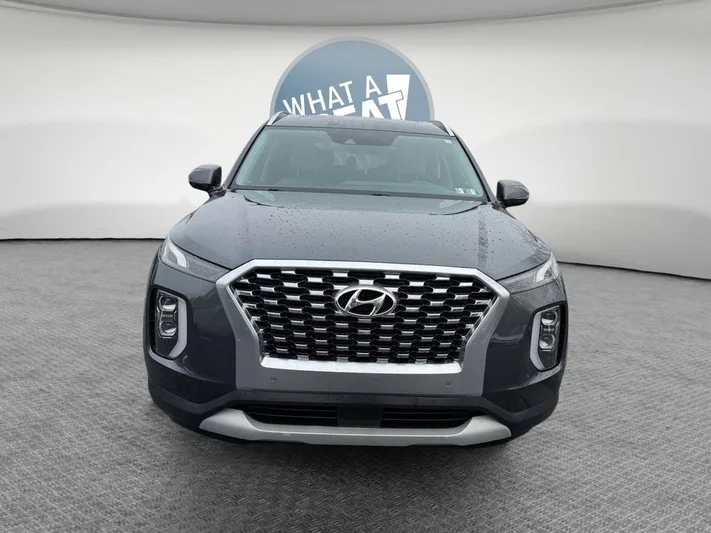 2020 Hyundai Palisade - view 9