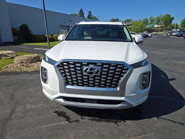 2022 Hyundai Palisade - view 10