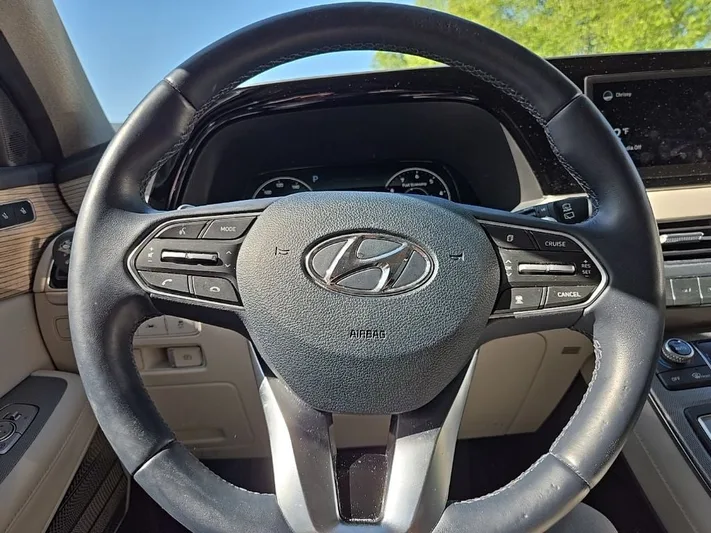 2022 Hyundai Palisade - view 13