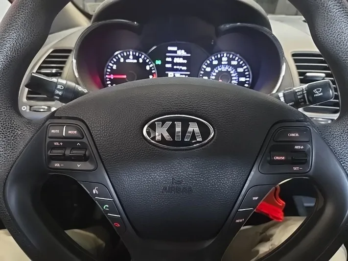 2016 Kia Forte - view 11