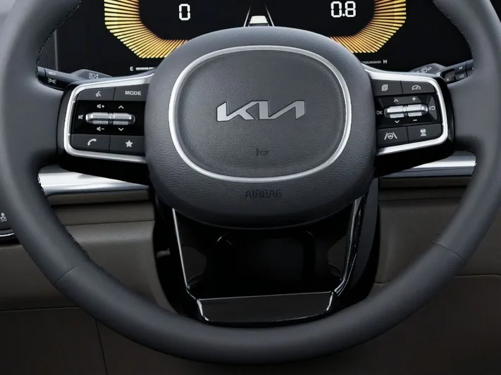 2026 Kia Carnival - view 21
