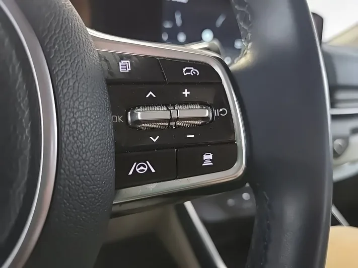 2025 Kia Carnival - view 16