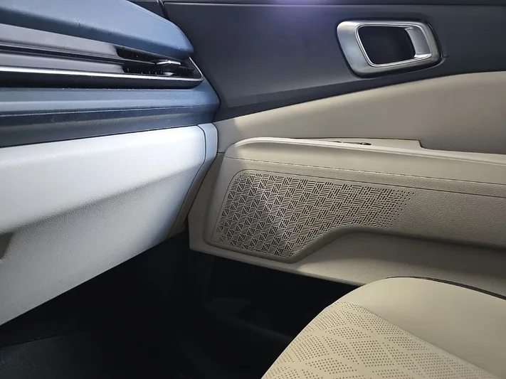 2025 Kia Carnival - view 19