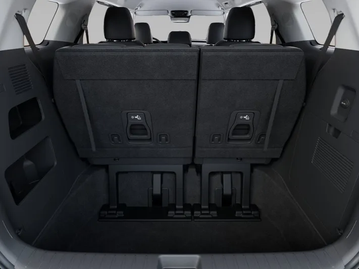 2026 Kia Carnival - view 19