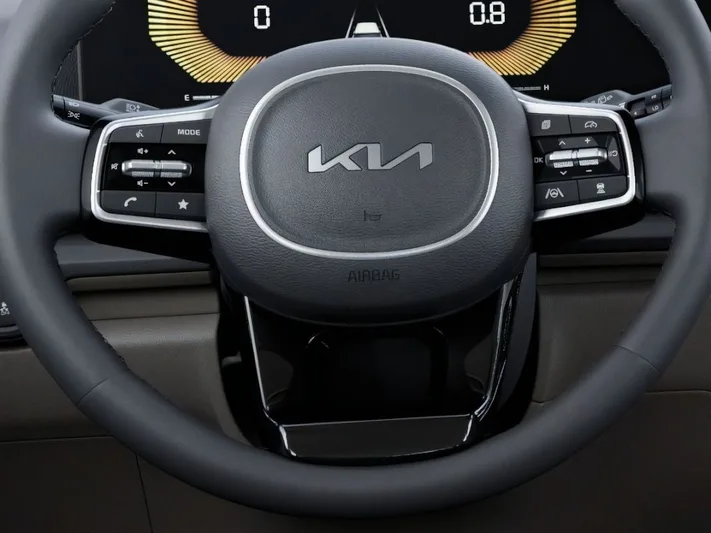 2026 Kia Carnival - view 22