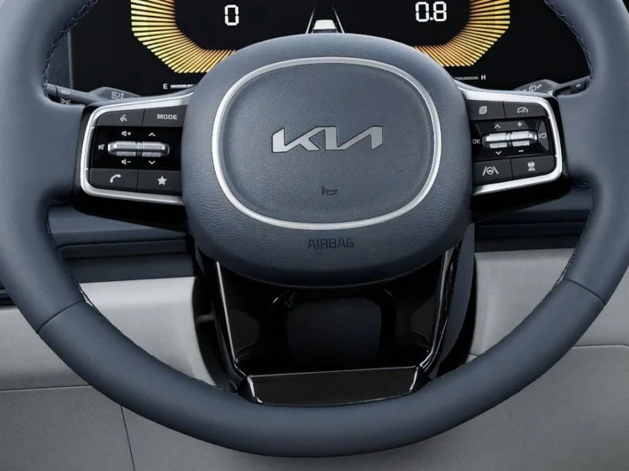 2026 Kia Carnival - view 22