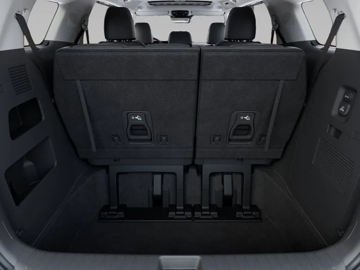 2026 Kia Carnival - view 19
