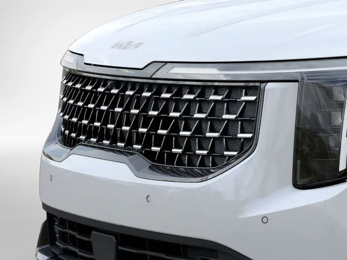 2026 Kia Carnival - view 12