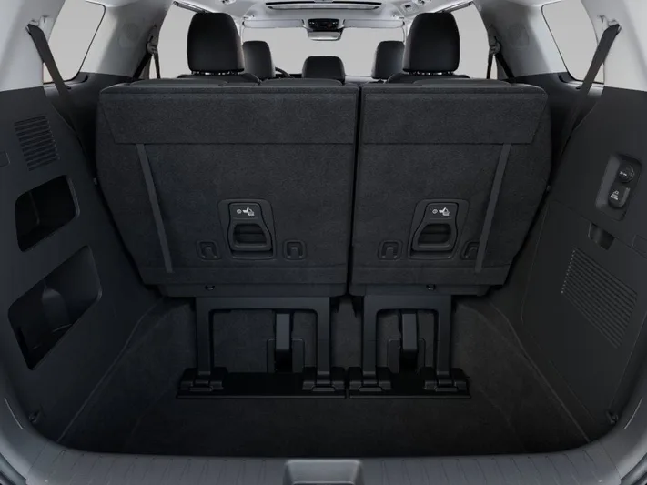 2026 Kia Carnival - view 19