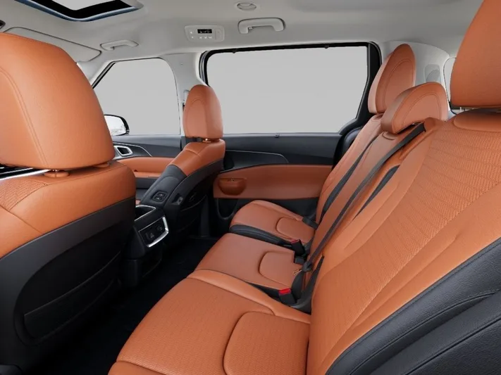 2026 Kia Carnival - view 18