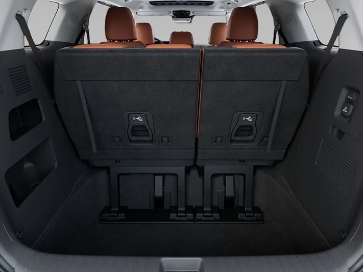 2026 Kia Carnival - view 19