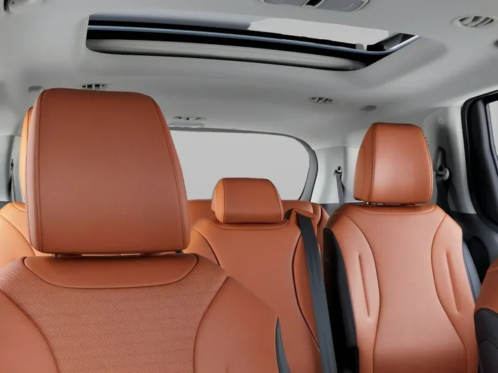 2026 Kia Carnival - view 27