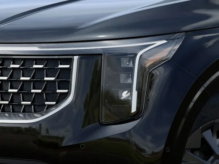 2026 Kia Carnival - view 10