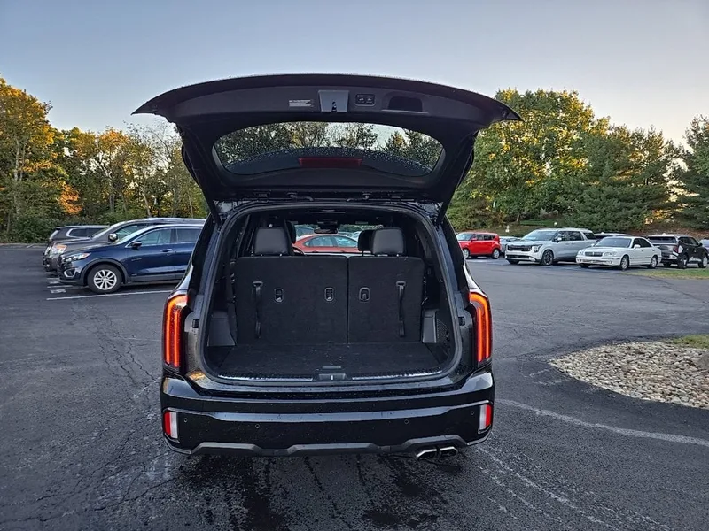 2024 Kia Telluride SX X-Pro, photo 4